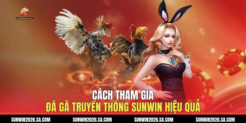 Cách Tham Gia Đá Gà Truyền Thống Sunwin Hiệu Quả