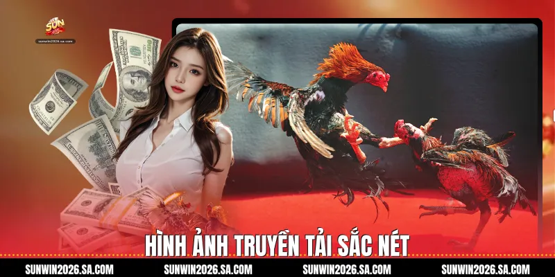 Hình ảnh truyền tải sắc nét