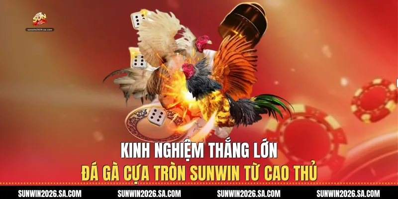Kinh nghiệm thắng lớn Đá gà cựa tròn Sunwin từ cao thủ